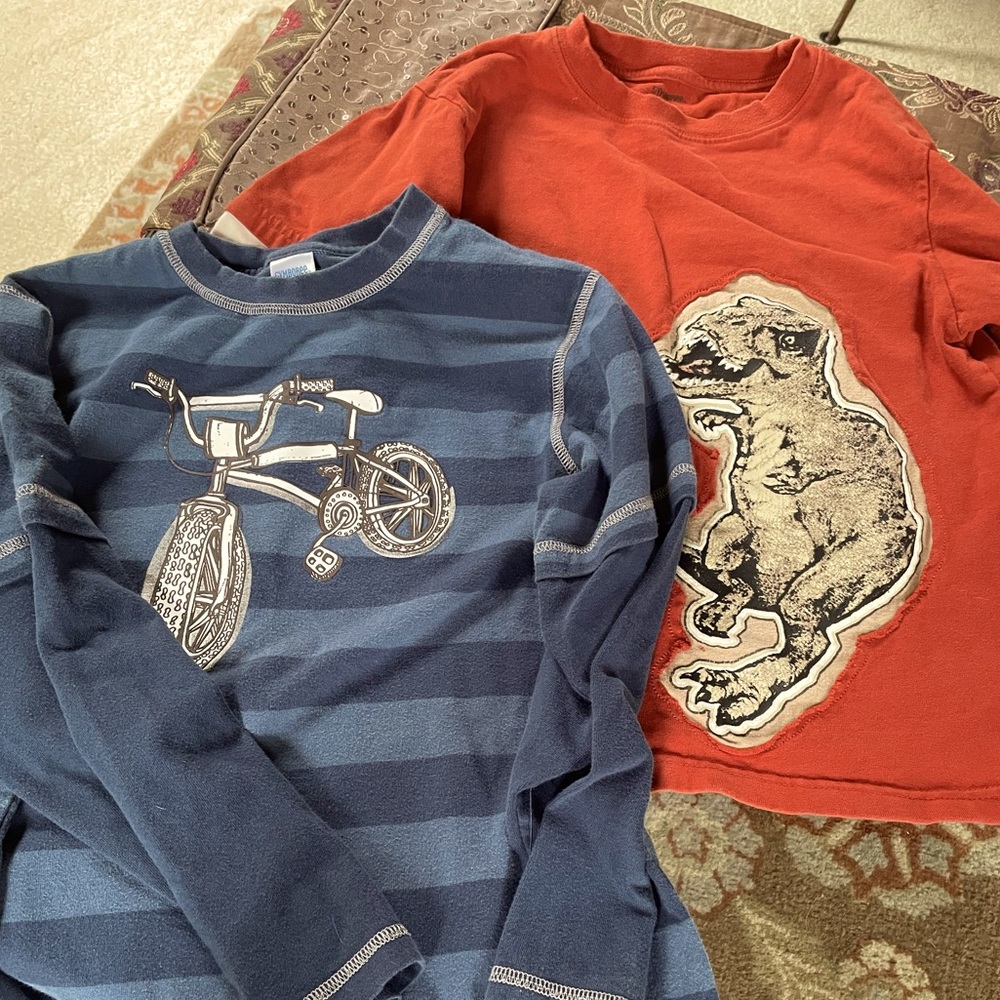 Size 8/10 Gymboree Boys L/S Tops